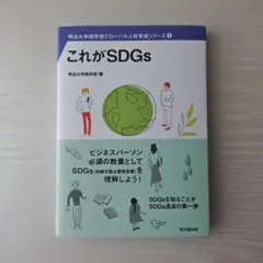 これがSDGs　新品未使用
