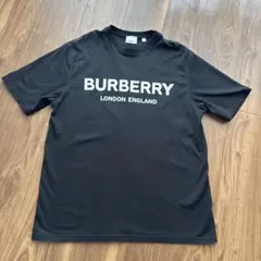バーバリー　ロゴTシャツ　Mサイズのサムネイル