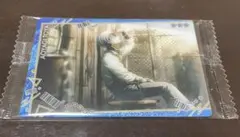 プロセカ　ウエハース11　青柳冬弥