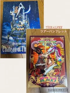 THE ALFEE】 IMAGINATION '96 春・秋ツアーパンフレット - メルカリ