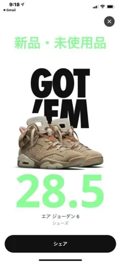 新品未使用品　エアジョーダン6 ×トラヴィス　28.5