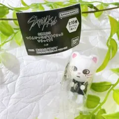 【新品未使用】skzoo ジニレット つまんでつなげてますこっと でらっくす！