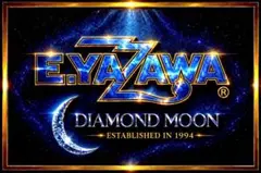 E.YAZAWA プレート 2枚セット未使用新品矢沢永吉グッズ 2026年最新】Yahoo!オークション -矢沢永吉 プレートの中古品・新品