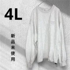 Item thumbnail for item aeb83527-2fe2-4e88-9d9d-024867427400