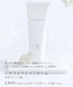フルリ ミネラルクレイフォーム 100g 新品・未使用 - メルカリ