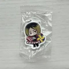 ハイキュー 孤爪研磨 くら寿司 ビッくらポン 目印チャーム