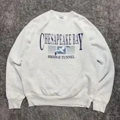 【90s】USA製 "FRUIT OF THE LOOM" (L) スウェット
