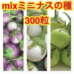 user_39585873様 リクエスト 4点 まとめ商品