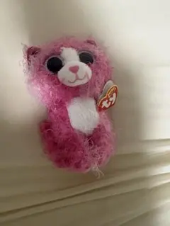 The Beanie boo's Collectinon Reagan