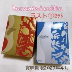 Item thumbnail for item 888e1f35-ee59-48a0-883d-f91317920bef