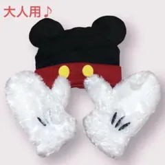 【美品】ディズニーリゾート 大人用  ミッキーマウス　帽子&ミトン手袋　セット