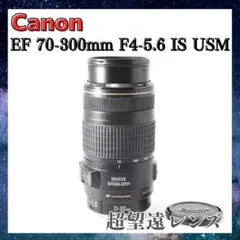 早い者勝ち！】Canon EF 75-300mm IS USM 手ぶれ補正 - メルカリ