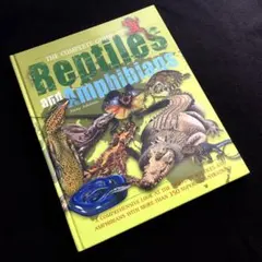 2026年最新】reptile & amphibianの人気アイテム - メルカリ