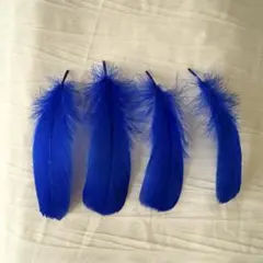 Item thumbnail for item a7954645-ef30-4b16-a063-17d92fa22b90