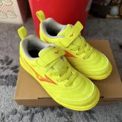 Item thumbnail for item b33b6259-d83e-49a7-9998-a164db39702e