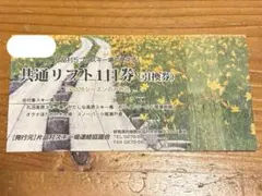 2026年最新】尾瀬戸倉 リフト券の人気アイテム - メルカリ