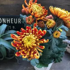 ジョン様 リクエスト 2点 まとめ商品