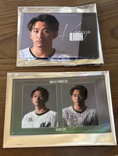 千葉ロッテマリーンズ　未公開ショットシークレット缶バッチ、ステッカー　小島和哉