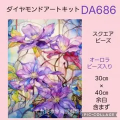 DA686★ダイヤモンドアートキット★スクエアビーズ★オーロラビーズ入り