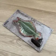 Anomalocaris ソフトモデル