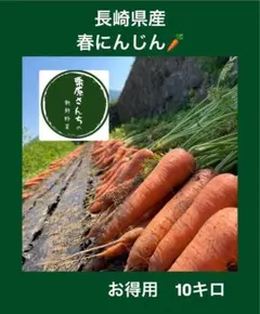 訳あり人参　10キロのサムネイル