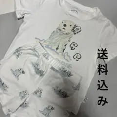 ジェラートピケ　上下セット　ラッコ