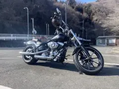 最終値下】ハーレーワンオフフルカスタム2002 FXD キャブ ナローボバー 