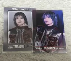 山本彰吾　フォトカード　2枚セット　THE RAMPAGE ランペ