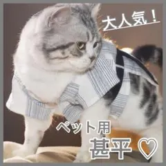 Item thumbnail for item 2296056f-dd54-4d5c-9093-0b75f3f21fc3