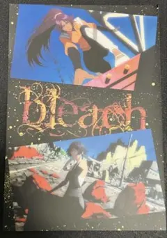 四楓院夜一 砕蜂 BLEACH ポストカード
