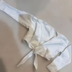 Item thumbnail for item 13bbe06c-bb77-46f8-8a3d-3ed907edb64f