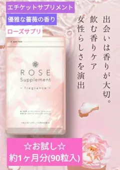 ペンペン即決購入可能様 リクエスト 2点 まとめ商品