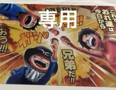 専用　ワンピース　クリアカード