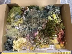 プリザーブドフラワー　花材セット　ハーバリウム用