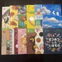 キンダーブック しぜん 2023 2024 しぜん キンダーブック 2023年4月〜2024年3月新品 通販