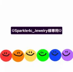 ☺︎Sparkle4c_Jewelry様専用☺︎