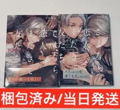 さよなら恋人、またきて友だち～ロスト・チャイルド～/宮内ユキについて2冊BL本