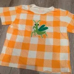 インセクトコレクション　チェックTシャツ　かまきり　Lサイズ