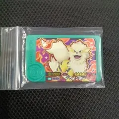 ウィンディ　ウインディ　色違い　ポケモンフレンダ　ポケモン　フレンダ