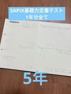 ㉓A サピックス　SAPIX 3年 年間テスト　一年分　書き込み処理済み美品❣️ メルカリ