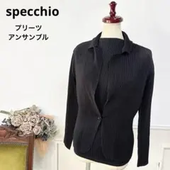 22美品　大きいサイズ　specchioスペッチオ プリーツ アンサンブルのサムネイル