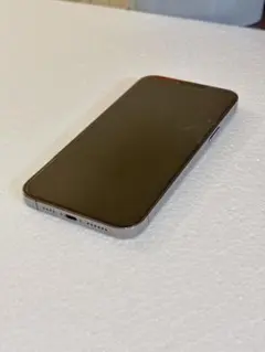 iPhone13ProMax 256GB