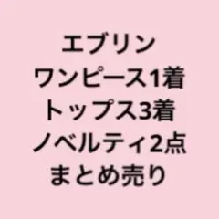 エブリン　トップス3着　ワンピース1点　まとめ売りevelyn