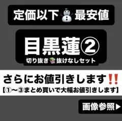 目黒蓮 切り抜き②yソフビ すのチル on ぬい ネピア アクスタ 公式写真