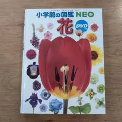 小学館の図鑑 NEO 花 DVD付き