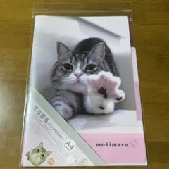 もちまる日記　もちまる　A4 クリアホルダー