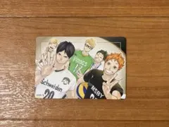 ハイキュー展 マグネットステッカー 烏野一年