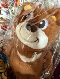 ヒステリックミニ⭐︎CAMP BEAR