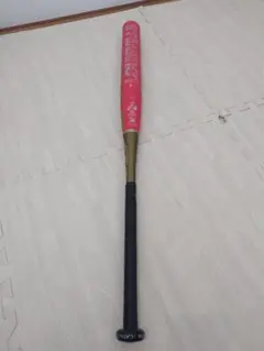 Item thumbnail for item 0d8f48cd-fd4f-486c-b9e9-ddf14db31a05