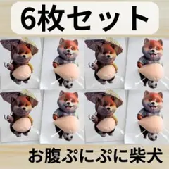 ★ おなかぷにぷにシール 柴犬 お腹 シリコン スクイーズ 緩衝 6枚セット
